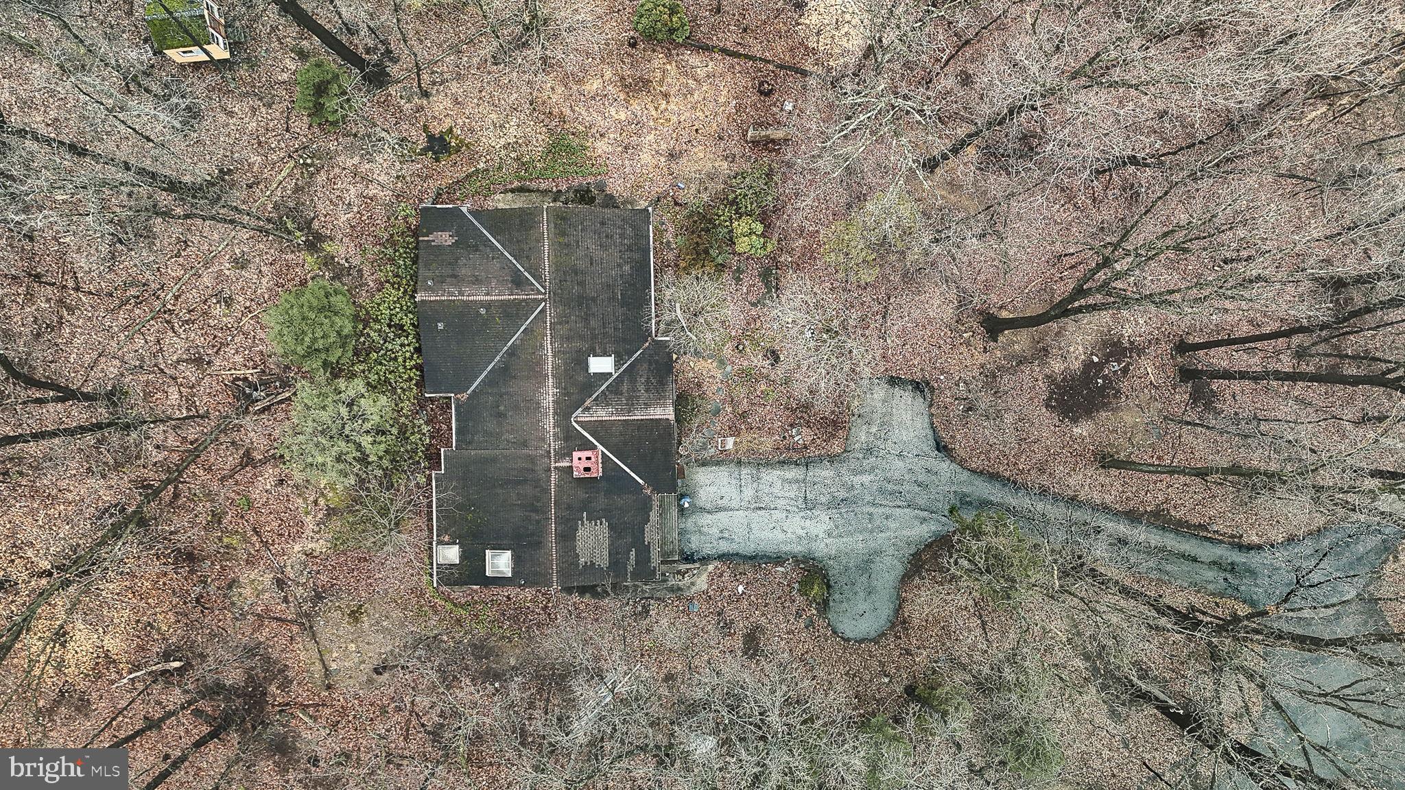 230 Jug Hollow Road Phoenixville, PA 19460 - Photo 27 of 60 a view of a dry yard with large tree