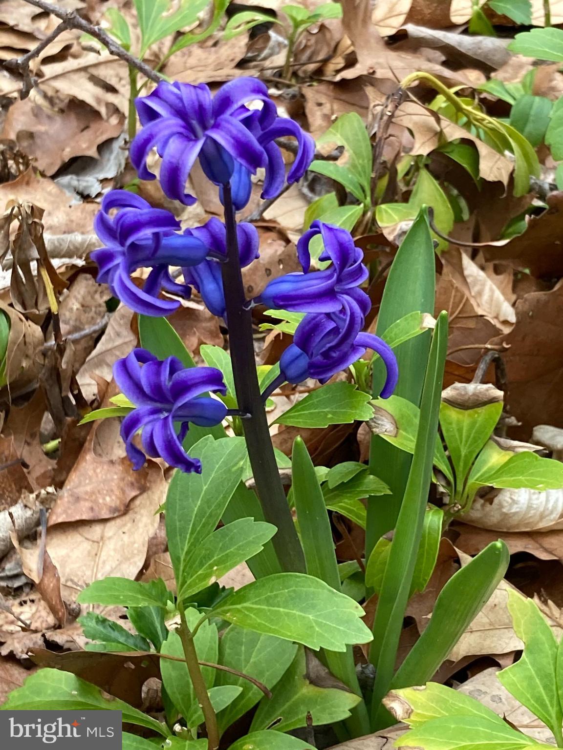 230 Jug Hollow Road Phoenixville, PA 19460 - Photo 31 of 60