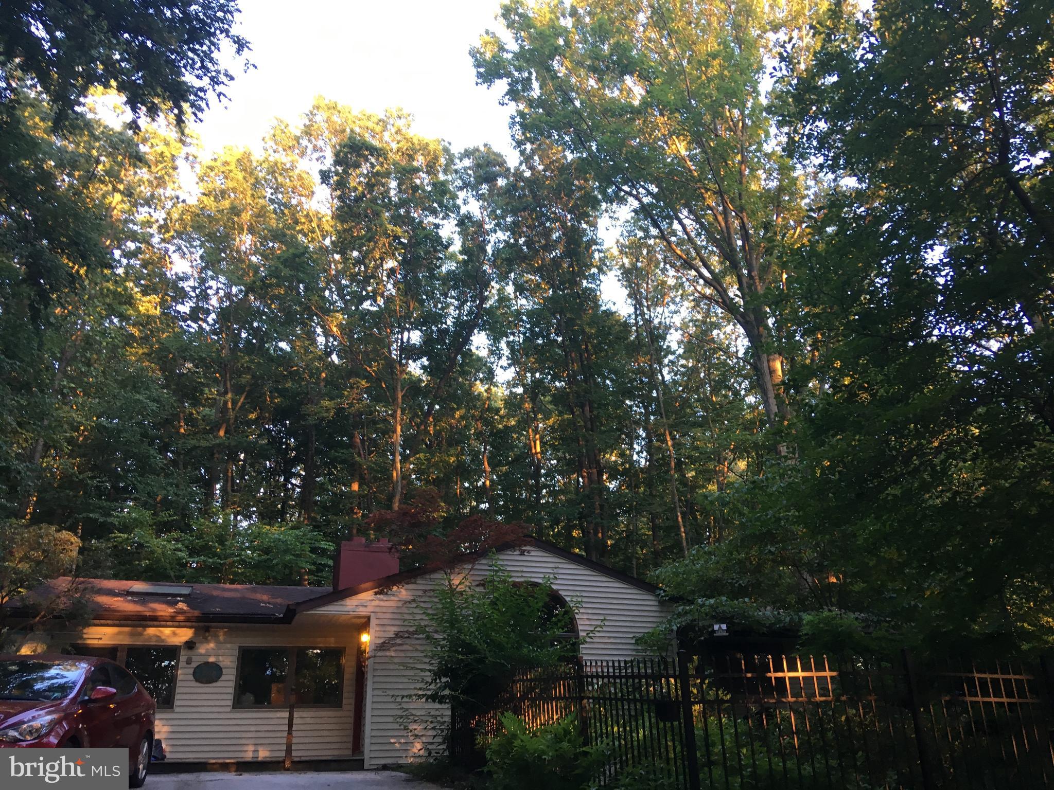 230 Jug Hollow Road Phoenixville, PA 19460 - Photo 50 of 60 a backyard of a house with lots of green space and garden