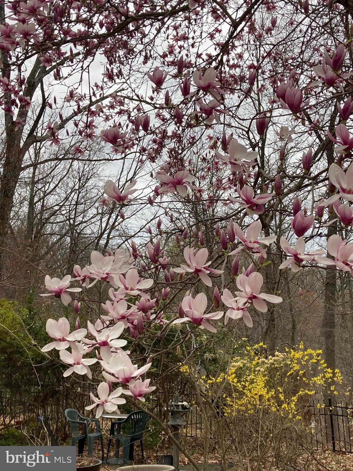 230 Jug Hollow Road Phoenixville, PA 19460 - Photo 52 of 60