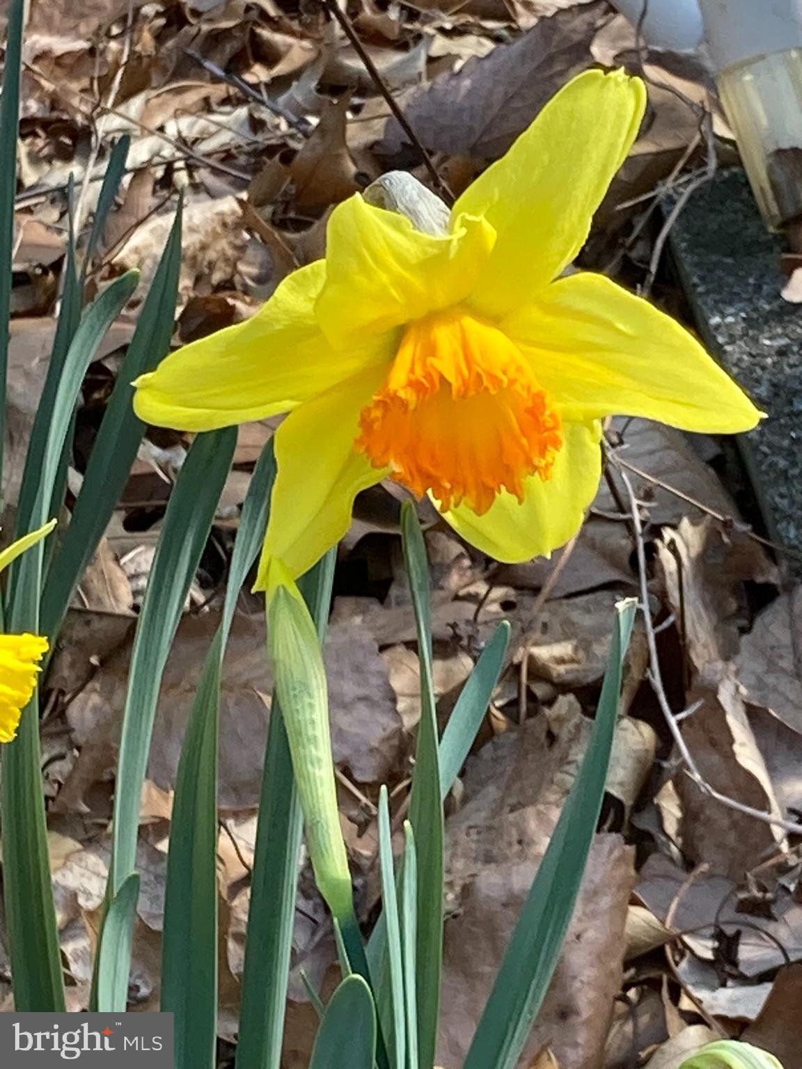230 Jug Hollow Road Phoenixville, PA 19460 - Photo 53 of 60 a view of a swimming pool