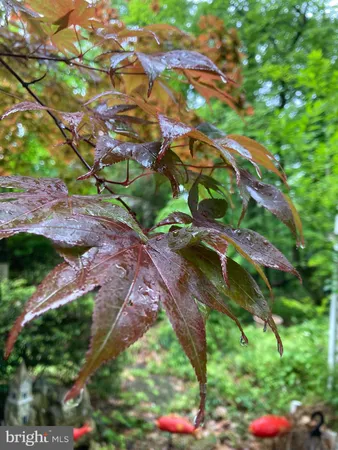 $599,900 | 230 Jug Hollow Road, Phoenixville, PA 19460