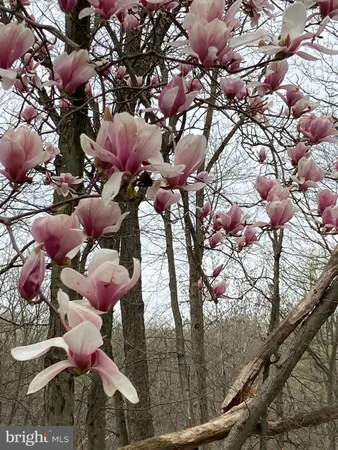 $599,900 | 230 Jug Hollow Road, Phoenixville, PA 19460