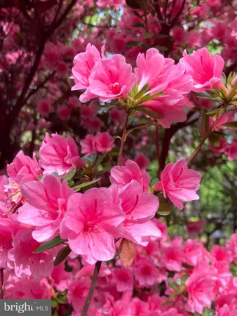 $599,900 | 230 Jug Hollow Road, Phoenixville, PA 19460