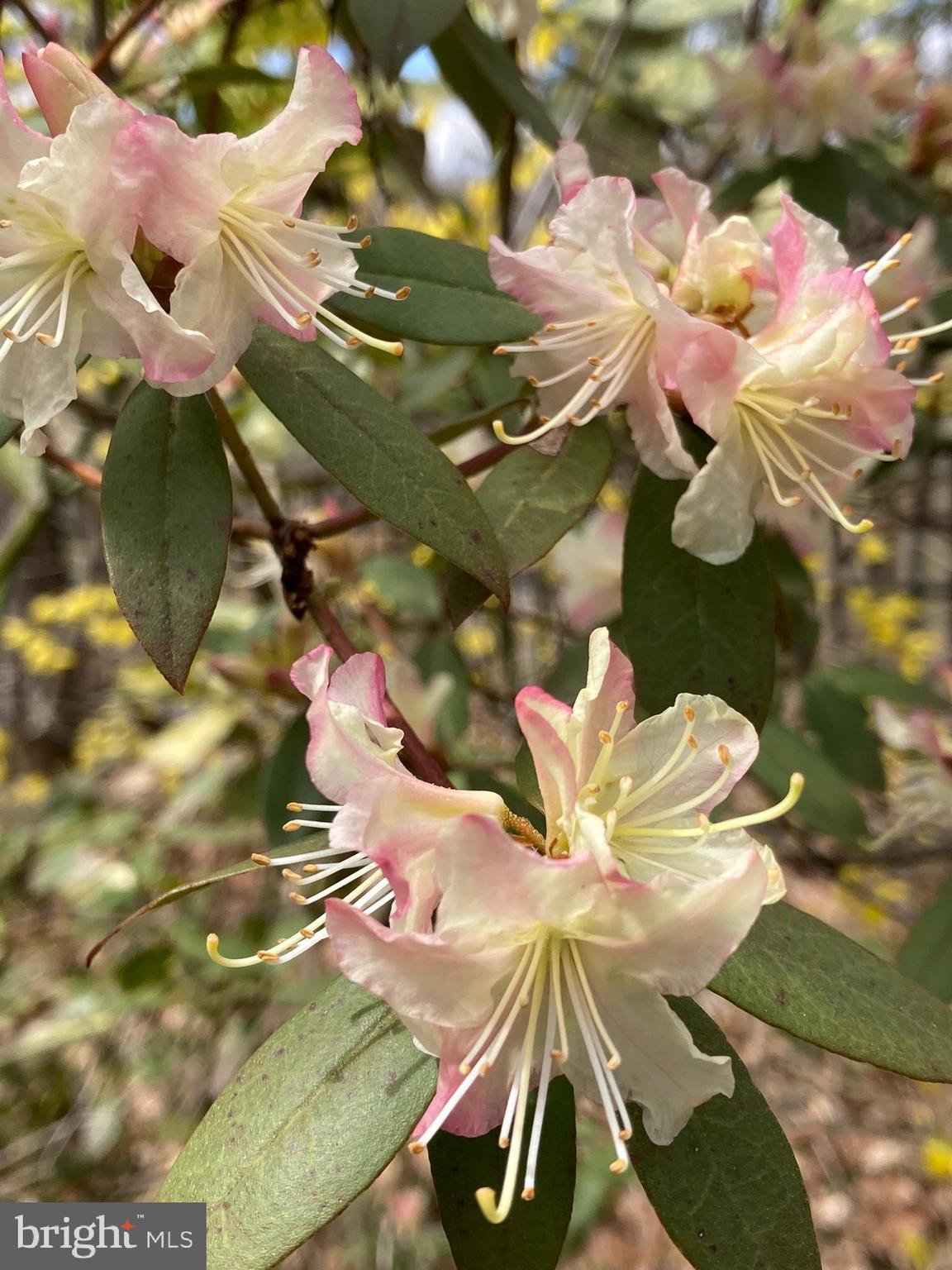 230 Jug Hollow Road Phoenixville, PA 19460 - Photo 59 of 60 a close up of a light fixture