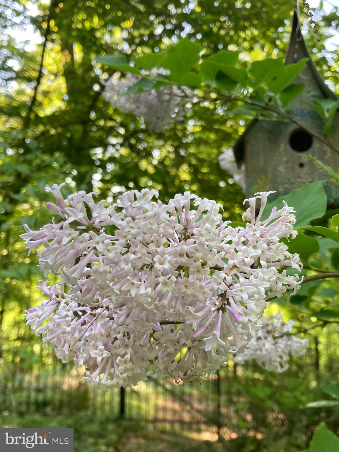 230 Jug Hollow Road Phoenixville, PA 19460 - Photo 60 of 60