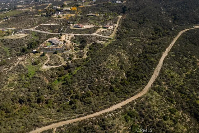 a view of a field with a forest