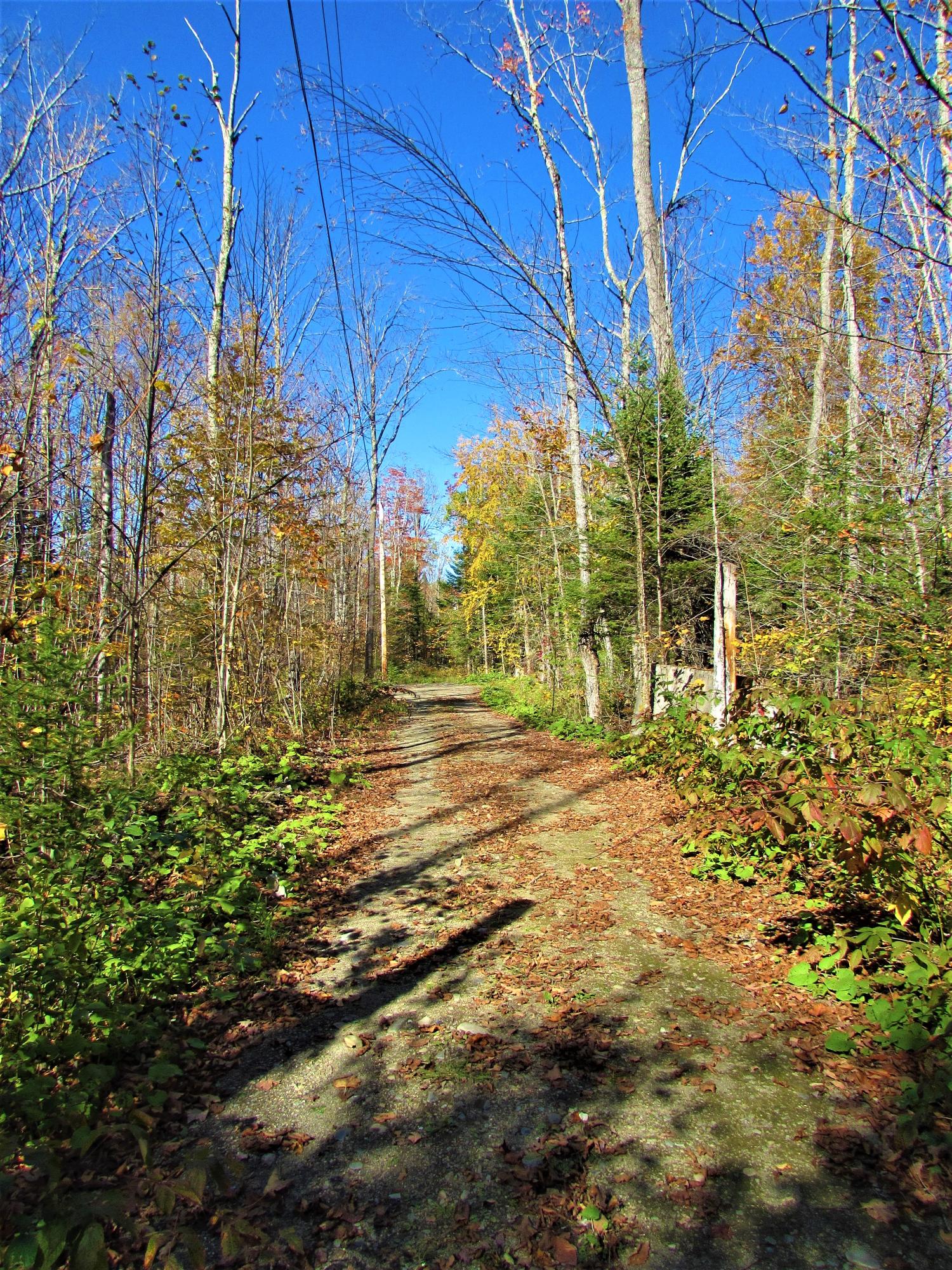 Tbd Deer Run Lane Ripley, ME 04930 - Photo 6 of 13 IMG_1904 - Copy