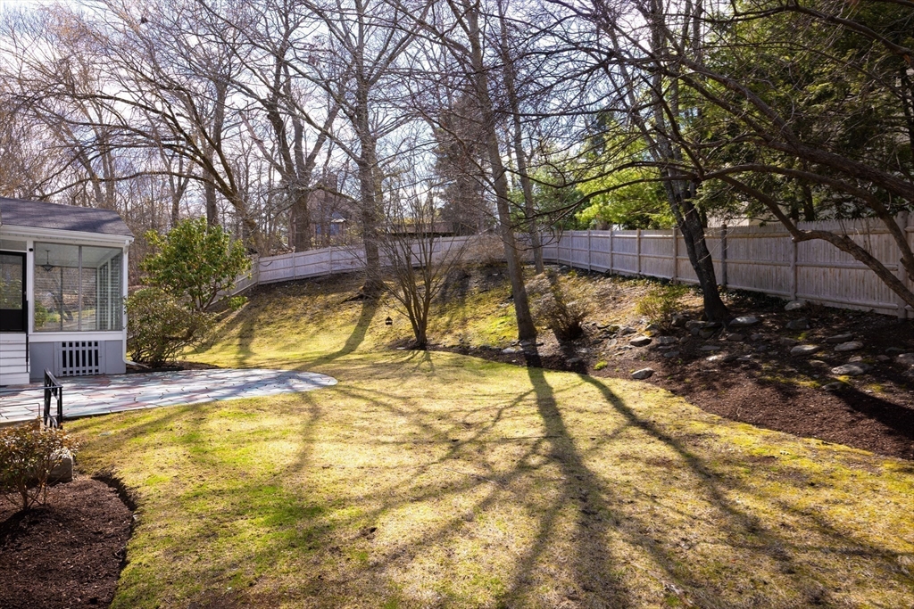 535 Clinton Road Brookline, MA 02467 - Photo 12 of 12 a view of a yard with trees and plants