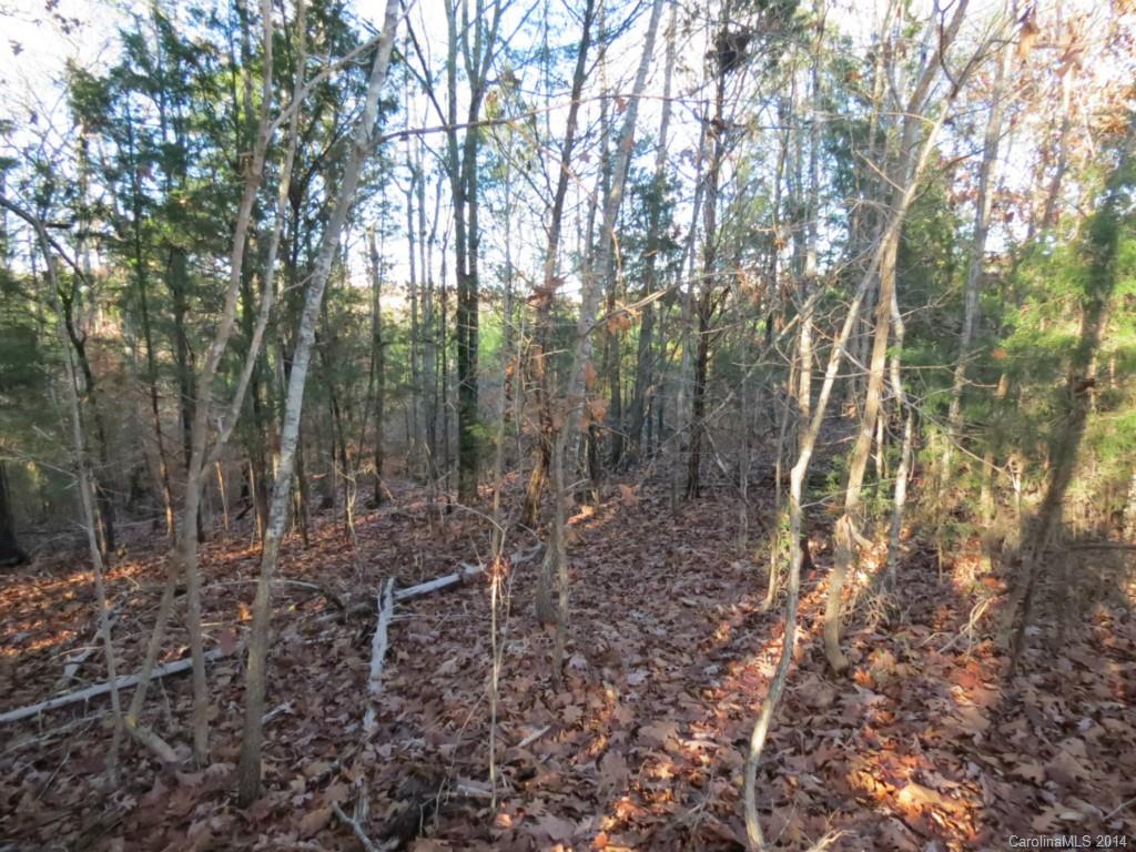 40.38-ac 40.38-ac Simpson Road McConnells, SC 29726 - Photo 11 of 20 a view of outdoor space with lots of trees