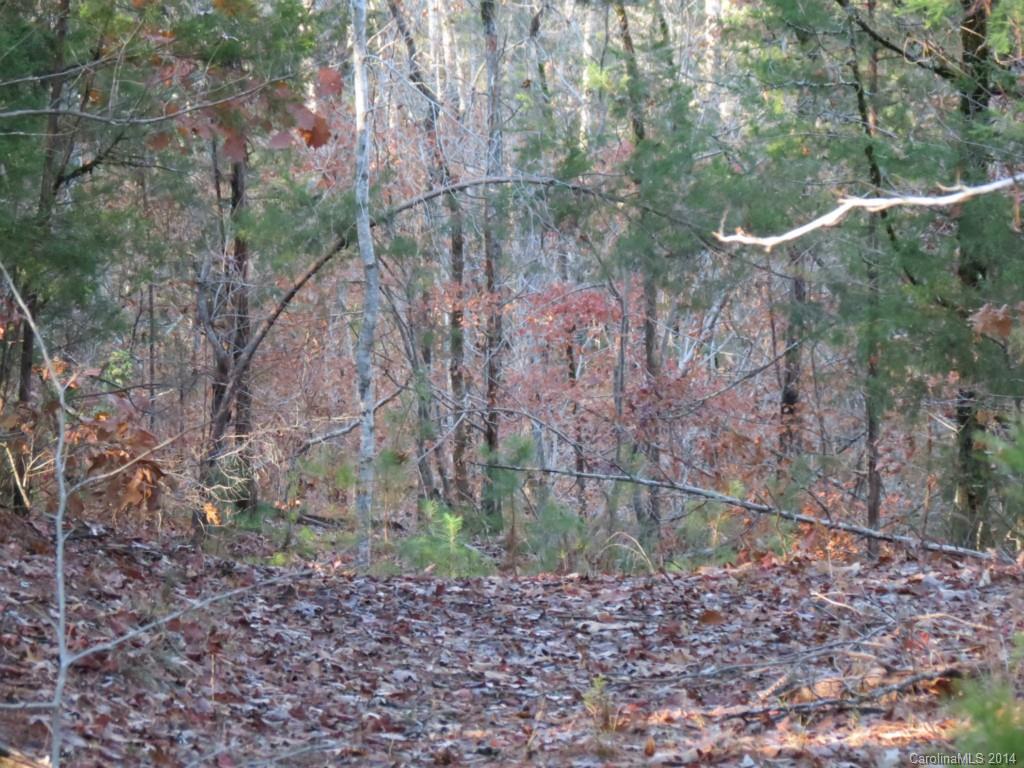40.38-ac 40.38-ac Simpson Road McConnells, SC 29726 - Photo 12 of 20 a backyard of a house with lots of green space