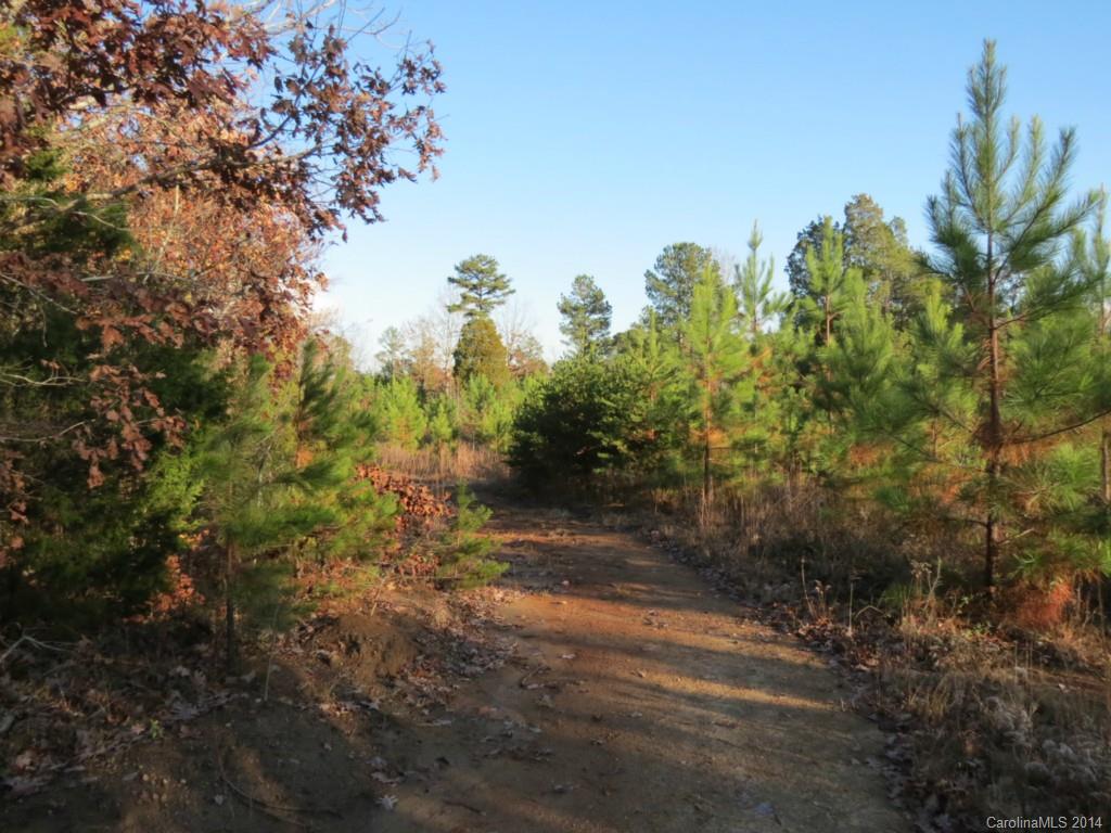 40.38-ac 40.38-ac Simpson Road McConnells, SC 29726 - Photo 13 of 20 a view of a yard with plants and a trees