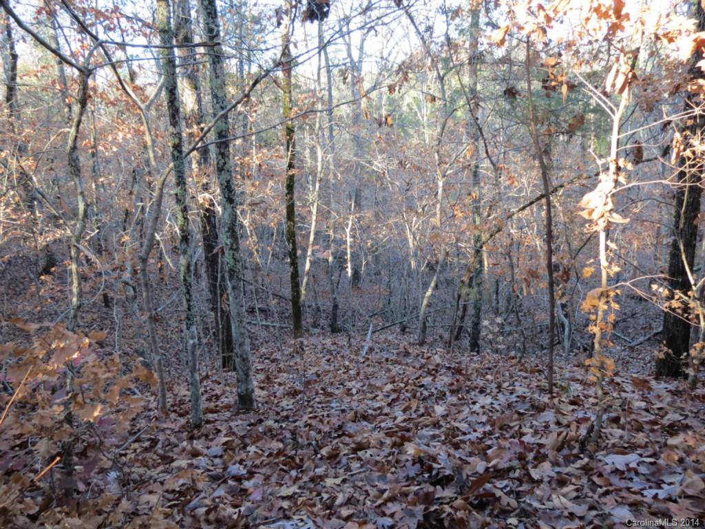40.38-ac 40.38-ac Simpson Road McConnells, SC 29726 - Photo 14 of 20 a big yard with lots of green space