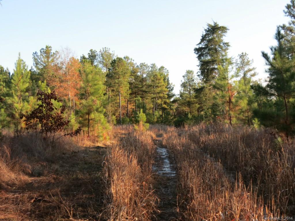 40.38-ac 40.38-ac Simpson Road McConnells, SC 29726 - Photo 16 of 20 a view of a lake with lots of trees