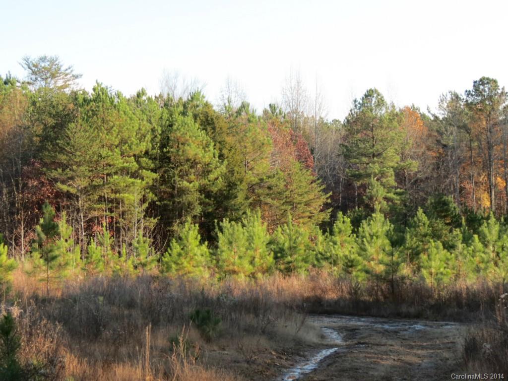 40.38-ac 40.38-ac Simpson Road McConnells, SC 29726 - Photo 17 of 20 a view of a lake view