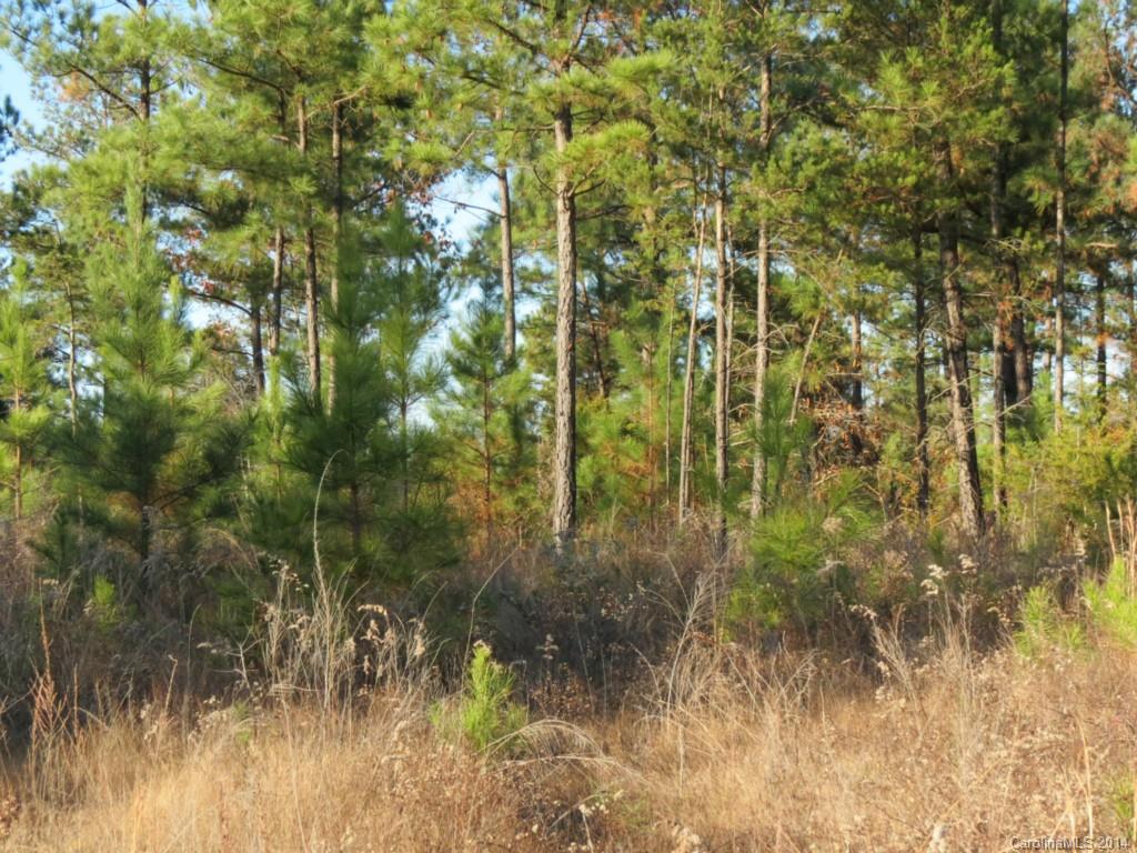 40.38-ac 40.38-ac Simpson Road McConnells, SC 29726 - Photo 18 of 20 a view of a forest