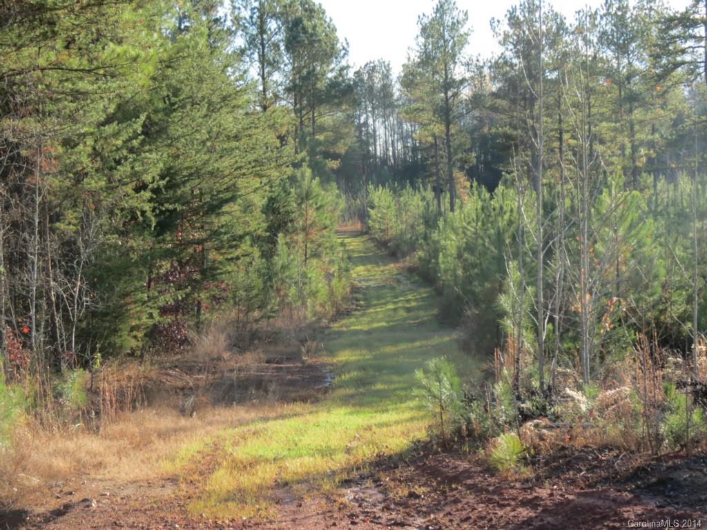 40.38-ac 40.38-ac Simpson Road McConnells, SC 29726 - Photo 19 of 20 a view of a lake view