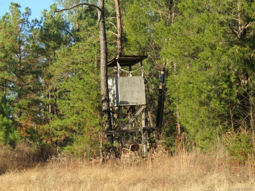 40.38-ac 40.38-ac Simpson Road McConnells, SC 29726 - Photo 20 of 20