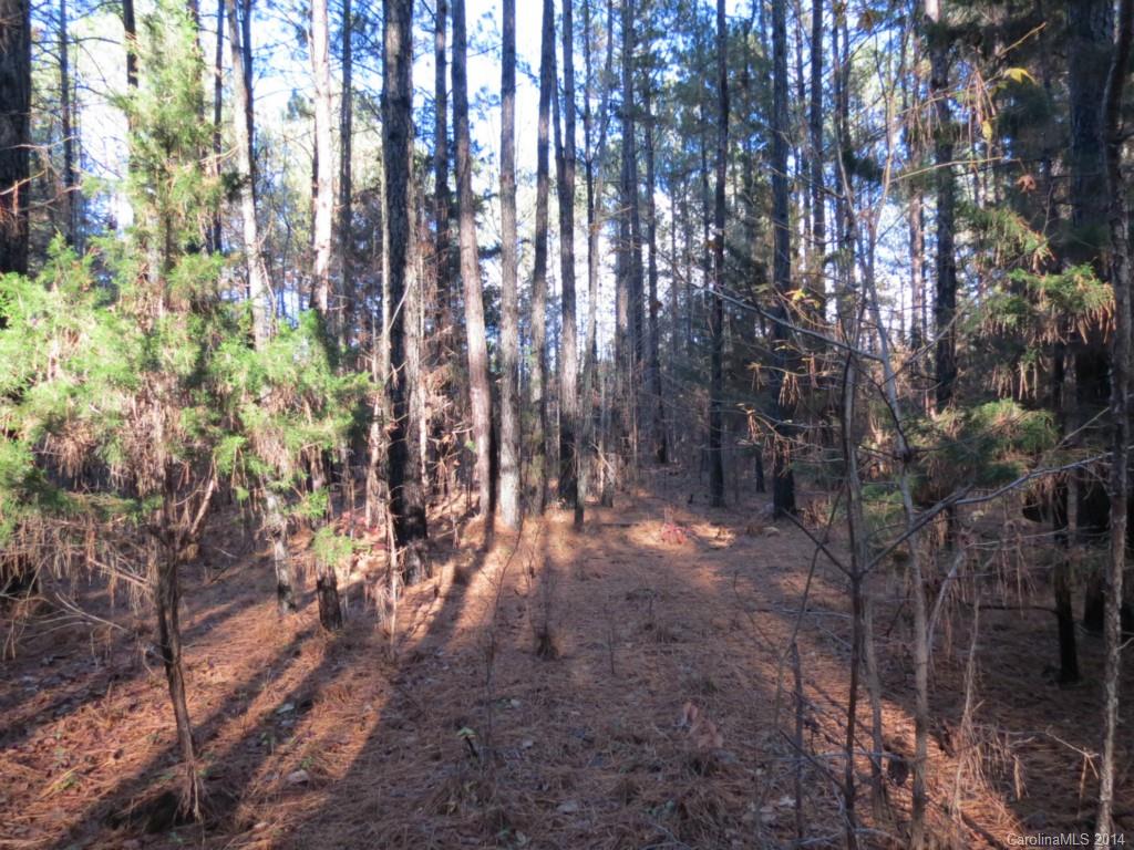 40.38-ac 40.38-ac Simpson Road McConnells, SC 29726 - Photo 3 of 20