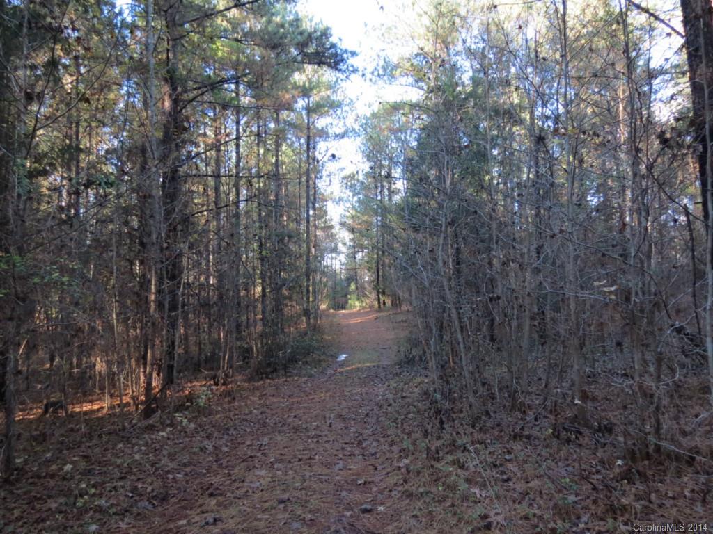 40.38-ac 40.38-ac Simpson Road McConnells, SC 29726 - Photo 4 of 20 a view of a forest with trees in the background
