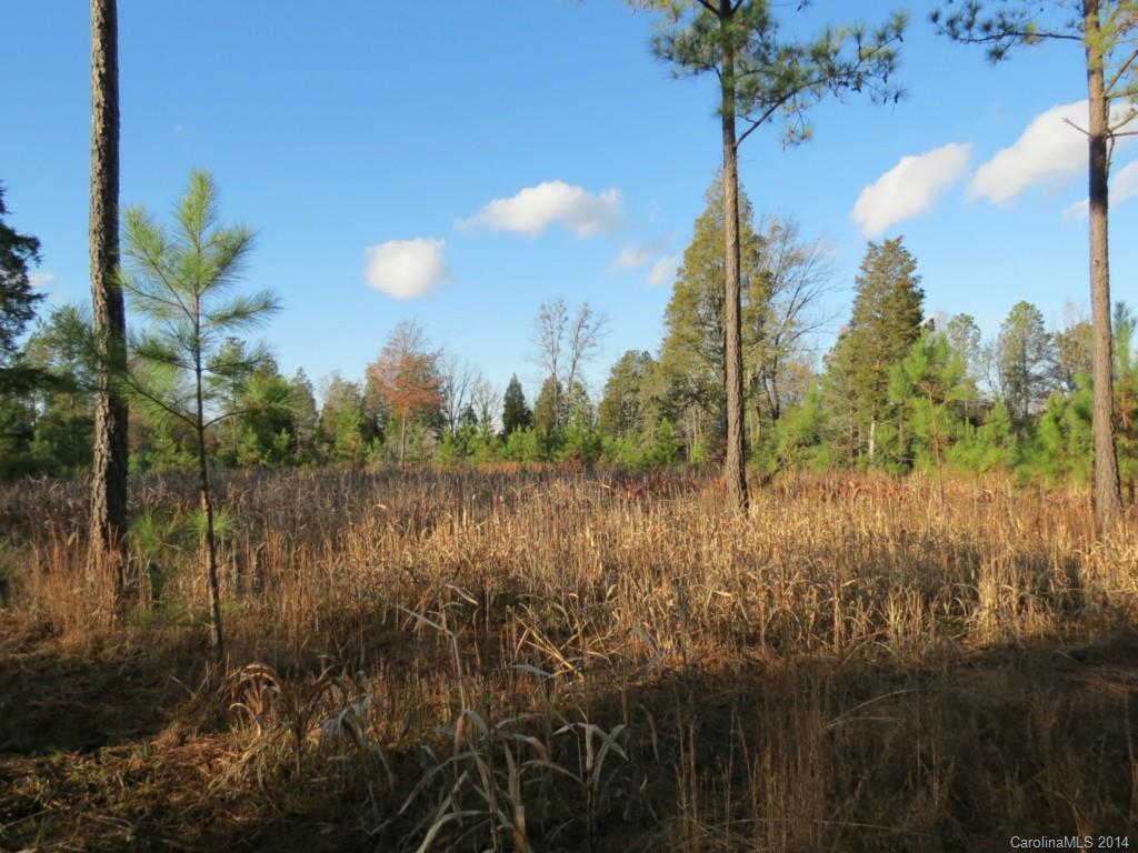 40.38-ac 40.38-ac Simpson Road McConnells, SC 29726 - Photo 5 of 20 a view of lake with green space