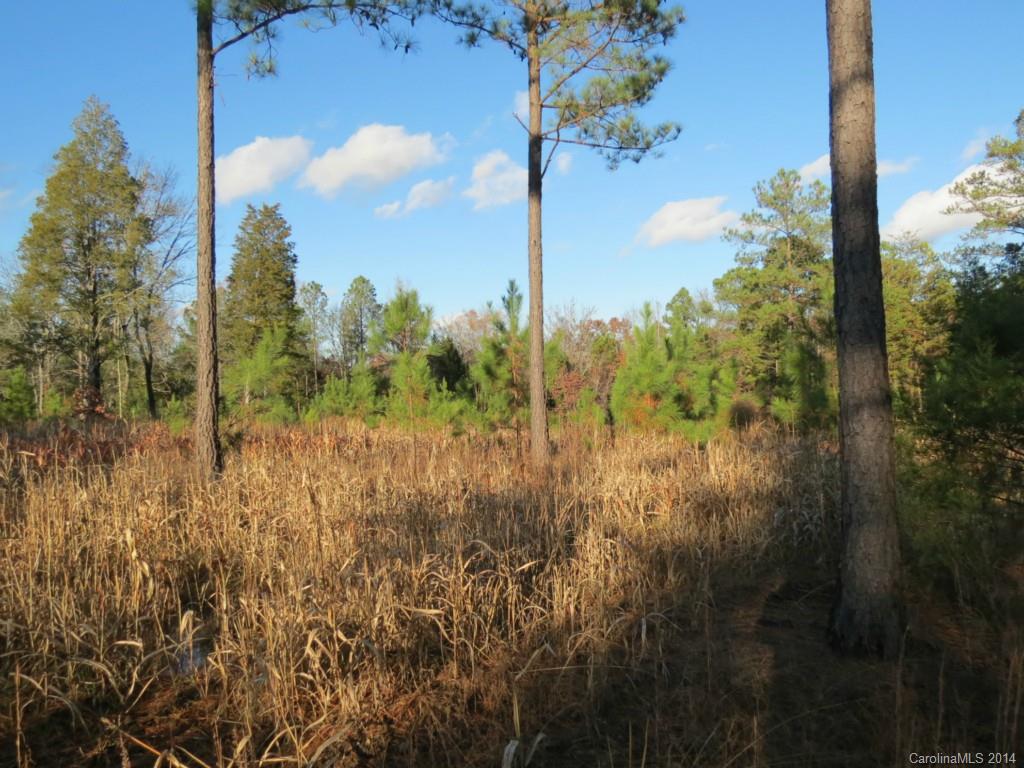 40.38-ac 40.38-ac Simpson Road McConnells, SC 29726 - Photo 6 of 20 a view of a garden