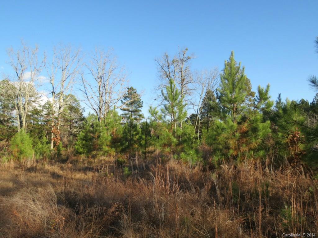 40.38-ac 40.38-ac Simpson Road McConnells, SC 29726 - Photo 7 of 20 a view of a plants in front of house