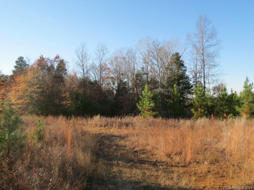 40.38-ac 40.38-ac Simpson Road McConnells, SC 29726 - Photo 9 of 20