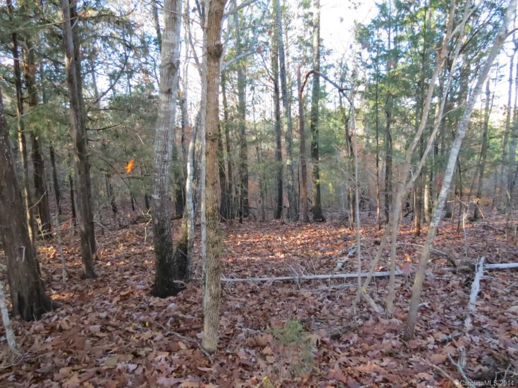 40.38-ac 40.38-ac Simpson Road McConnells, SC 29726 - Photo 10 of 20 a view of a forest with large trees