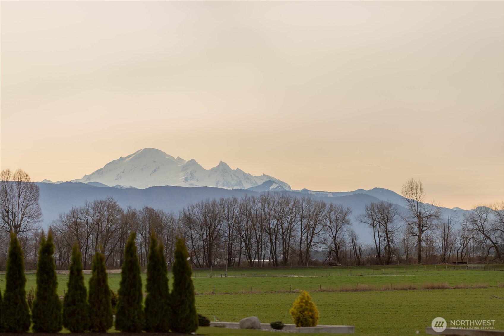 1701 Farmview Terrace Lynden, WA 98264 - Photo 6 of 15