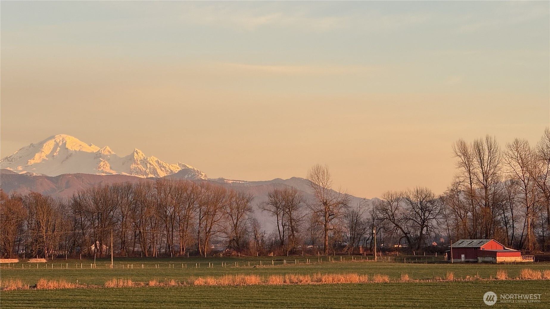 1701 Farmview Terrace Lynden, WA 98264 - Photo 7 of 15