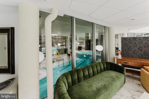 a park view with tall trees