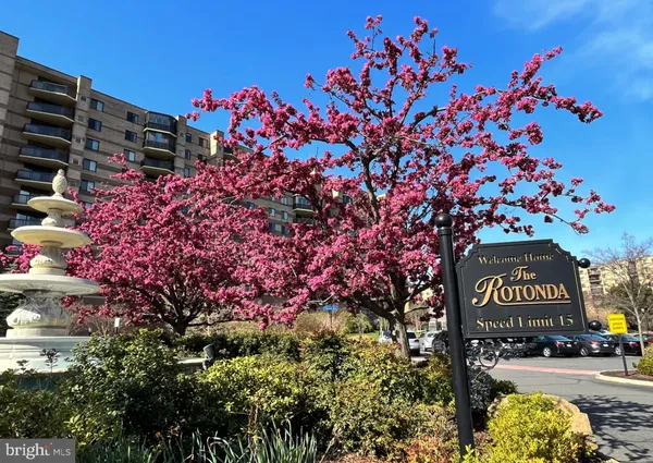 a garden view with a lake view
