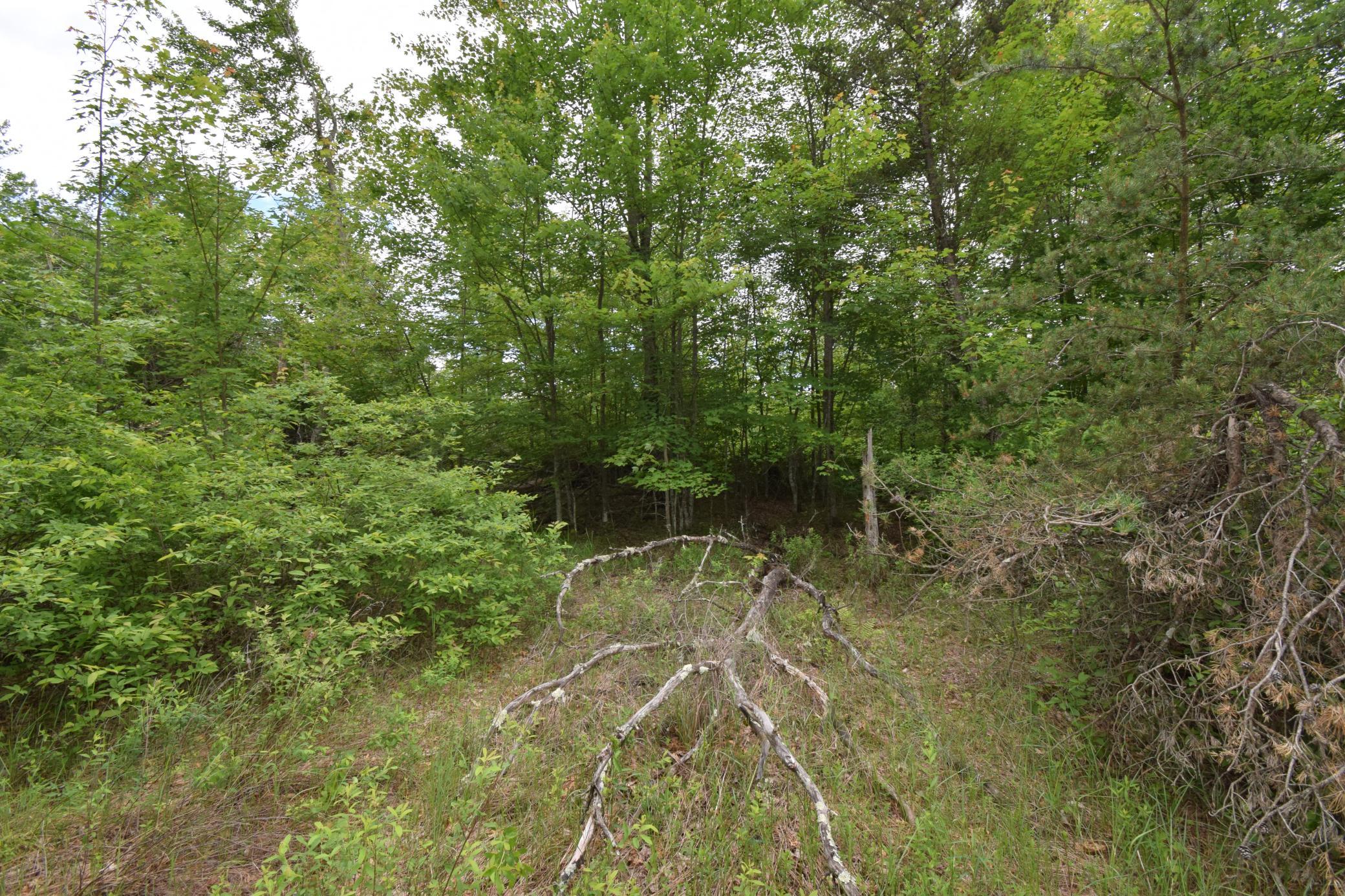 25385 Spaulding Road Grantsburg, WI 54840 - Photo 7 of 12