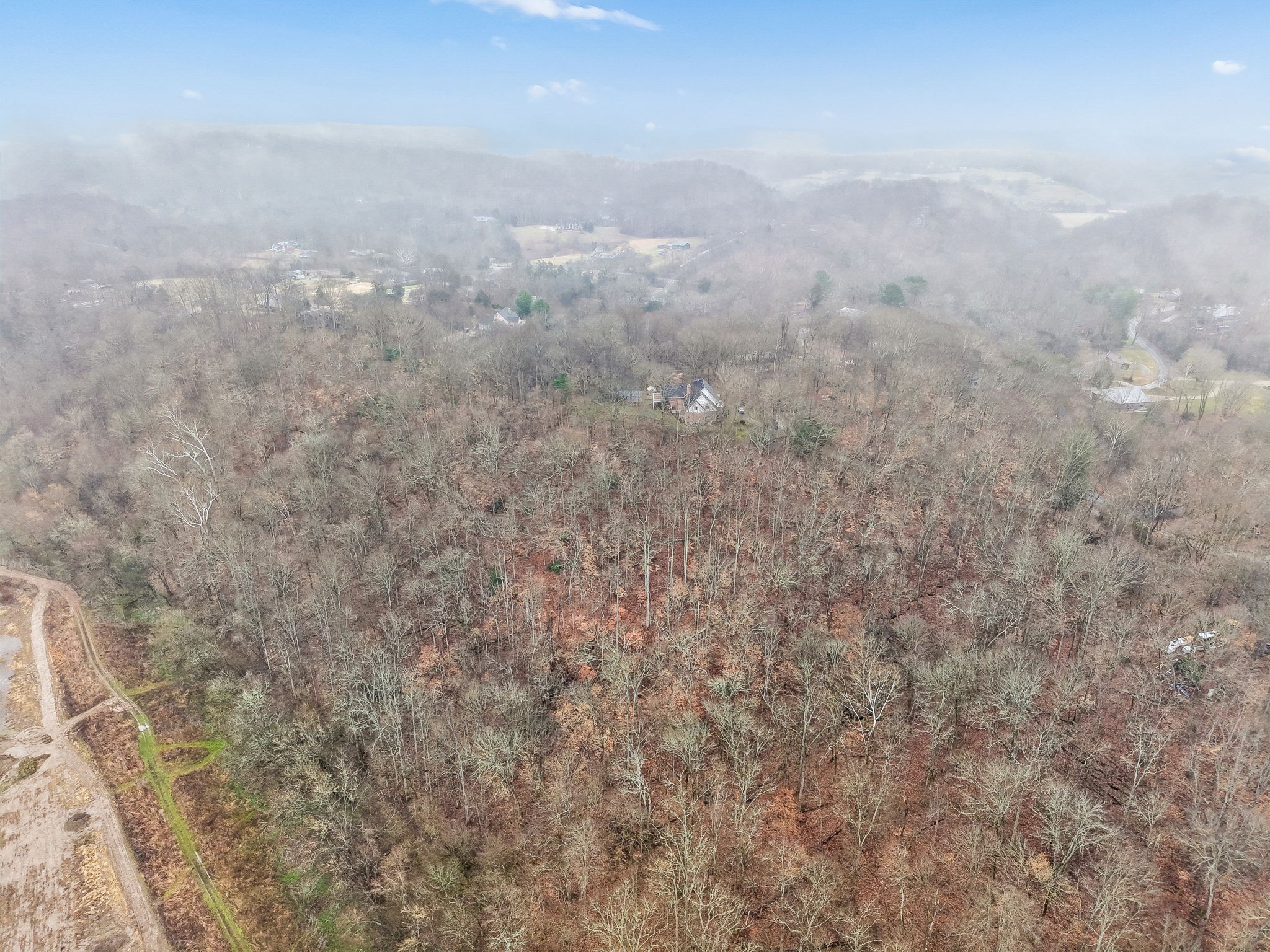 1010 Street Road Kingston Springs, TN 37082 - Photo 94 of 94 a view of a dry yard with trees
