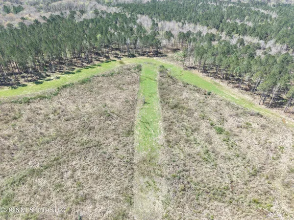 $994,000 | Oldenburg Road, Meadville, MS 39653