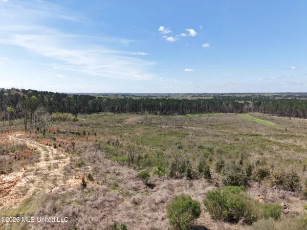 $994,000 | Oldenburg Road, Meadville, MS 39653