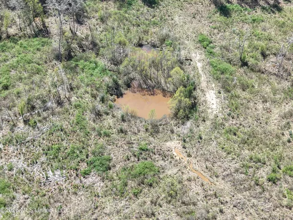 $994,000 | Oldenburg Road, Meadville, MS 39653