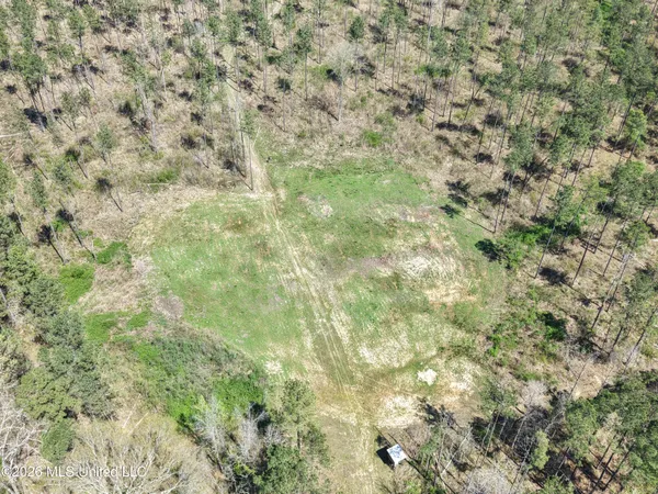 $994,000 | Oldenburg Road, Meadville, MS 39653