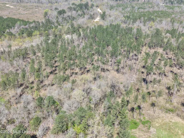 $994,000 | Oldenburg Road, Meadville, MS 39653