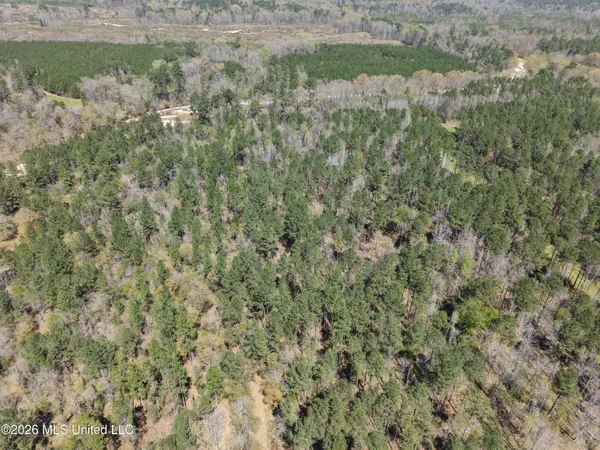 $994,000 | Oldenburg Road, Meadville, MS 39653