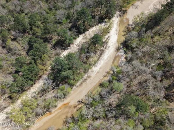$994,000 | Oldenburg Road, Meadville, MS 39653