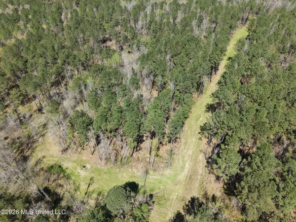 $994,000 | Oldenburg Road, Meadville, MS 39653