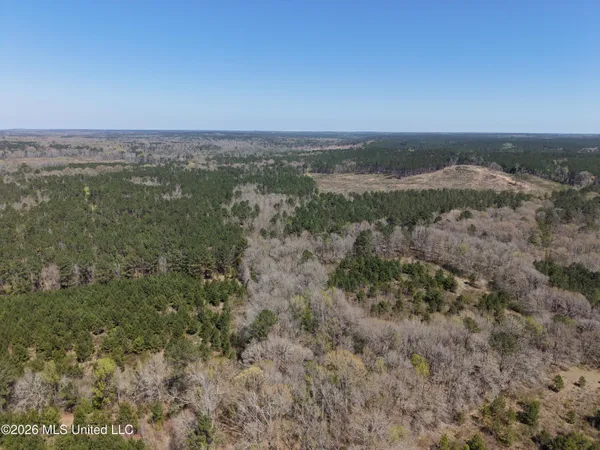 $994,000 | Oldenburg Road, Meadville, MS 39653