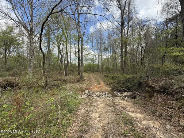 $994,000 | Oldenburg Road, Meadville, MS 39653