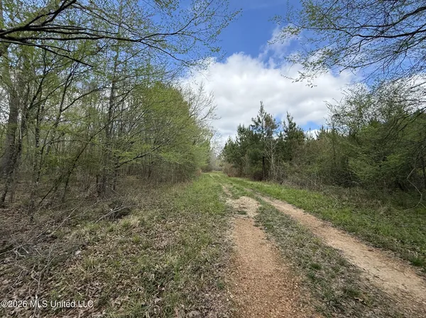 $994,000 | Oldenburg Road, Meadville, MS 39653
