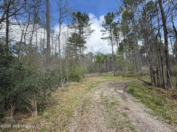 $994,000 | Oldenburg Road, Meadville, MS 39653