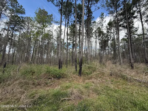 $994,000 | Oldenburg Road, Meadville, MS 39653