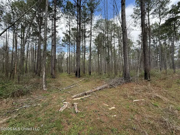 $994,000 | Oldenburg Road, Meadville, MS 39653