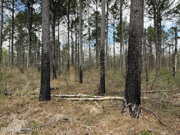 $994,000 | Oldenburg Road, Meadville, MS 39653